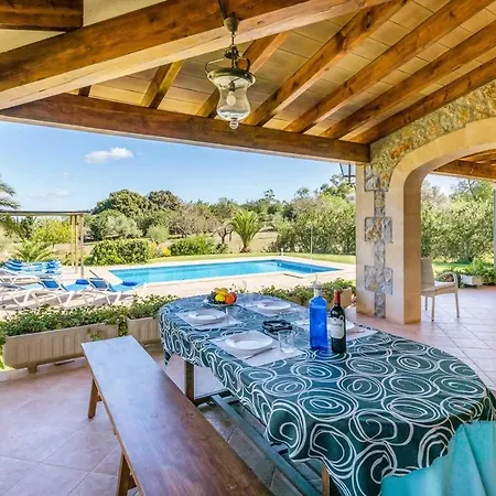 L'olivar Pollensa