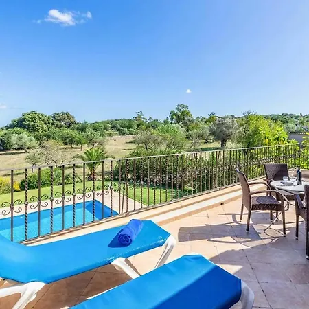 L'olivar Pollensa