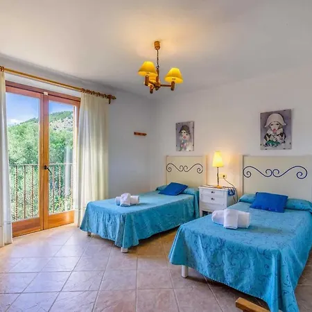 L'olivar * Pollensa