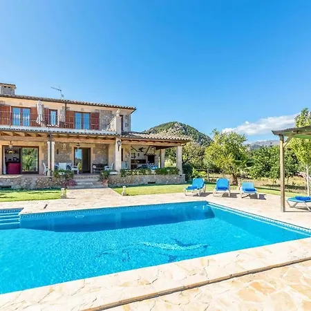 L'olivar