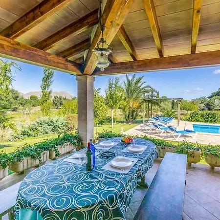 L'olivar