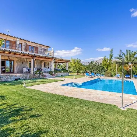 L'olivar *