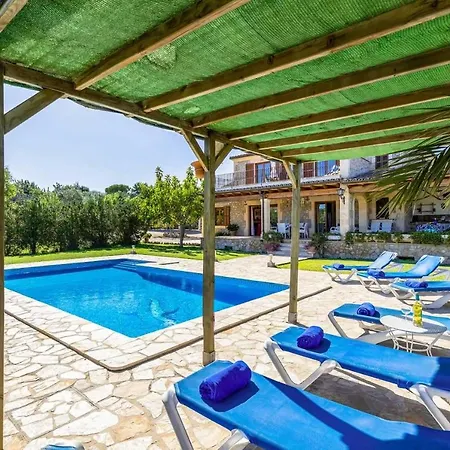 L'olivar Pollensa