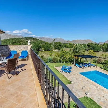 L'olivar * Pollensa
